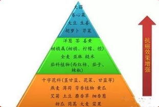 保險(xiǎn)代理與汽車出租跨界合作 雙贏模式與廣闊前景